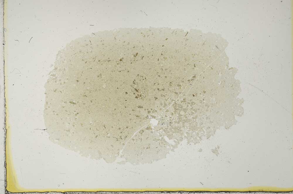 Plane Polarized, S25223
