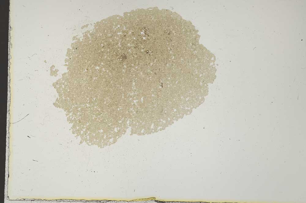 Plane Polarized, S25224