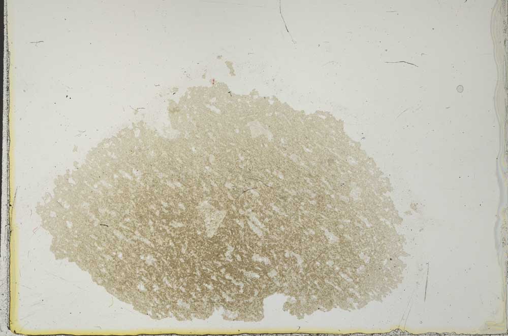 Plane Polarized, S25225