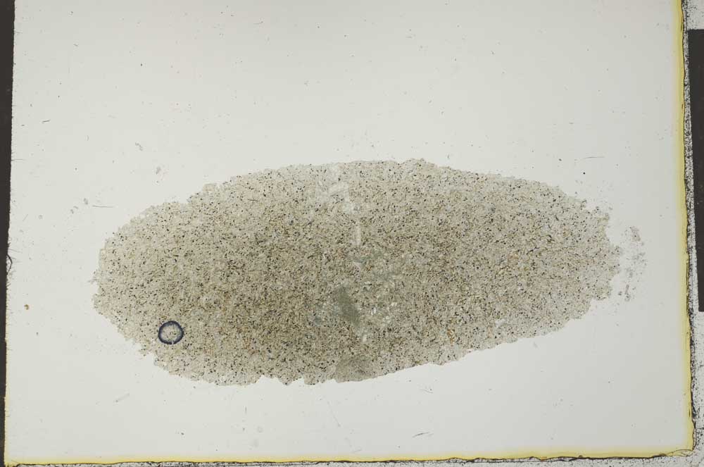 Plane Polarized, S25227