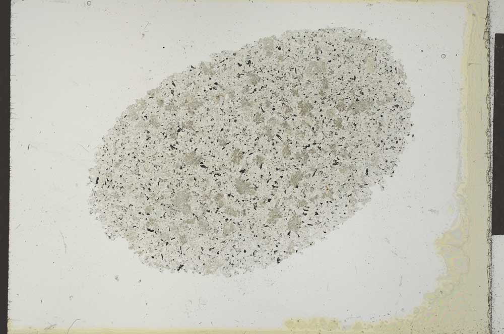 Plane Polarized, S25234