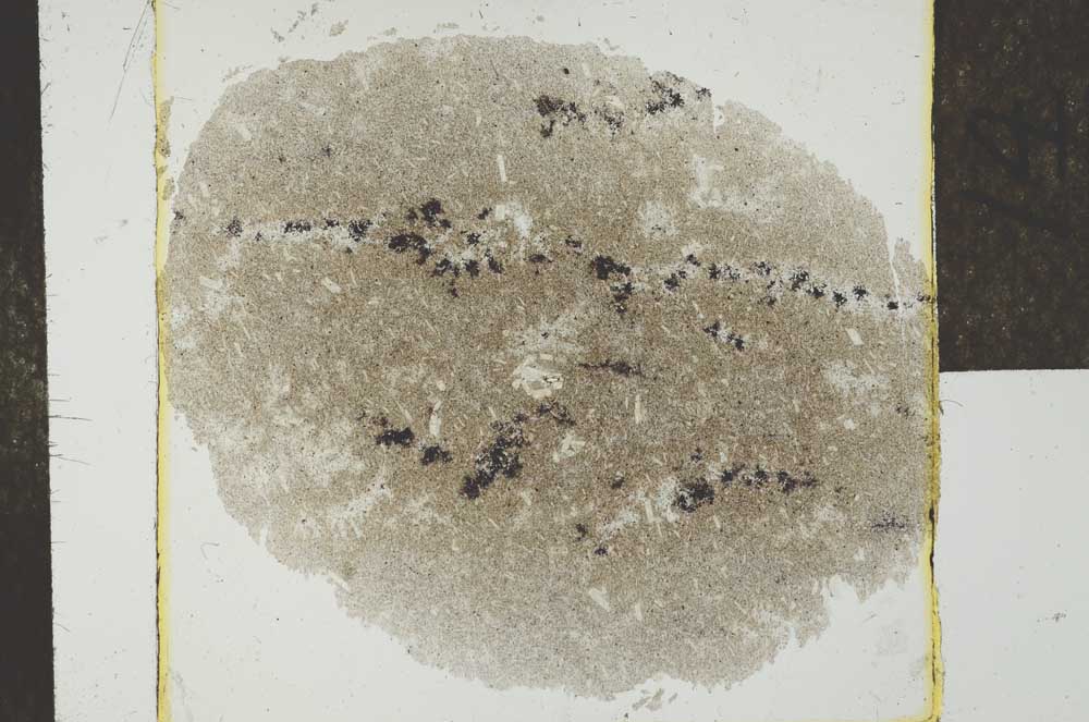 Plane Polarized, S25253