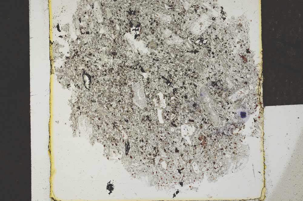 Plane Polarized, S25254