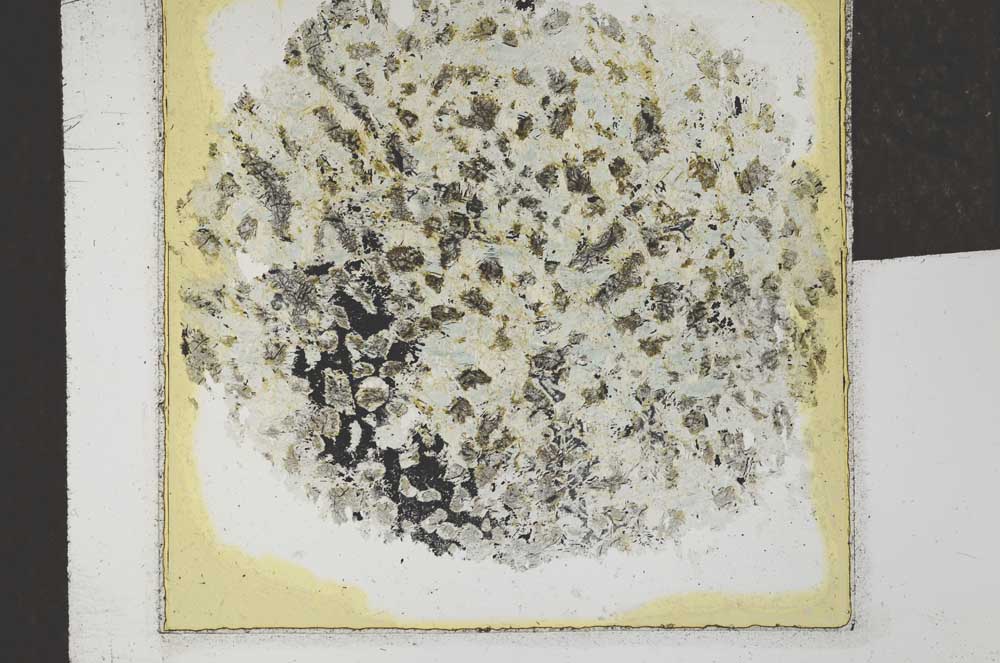 Plane Polarized, S25298