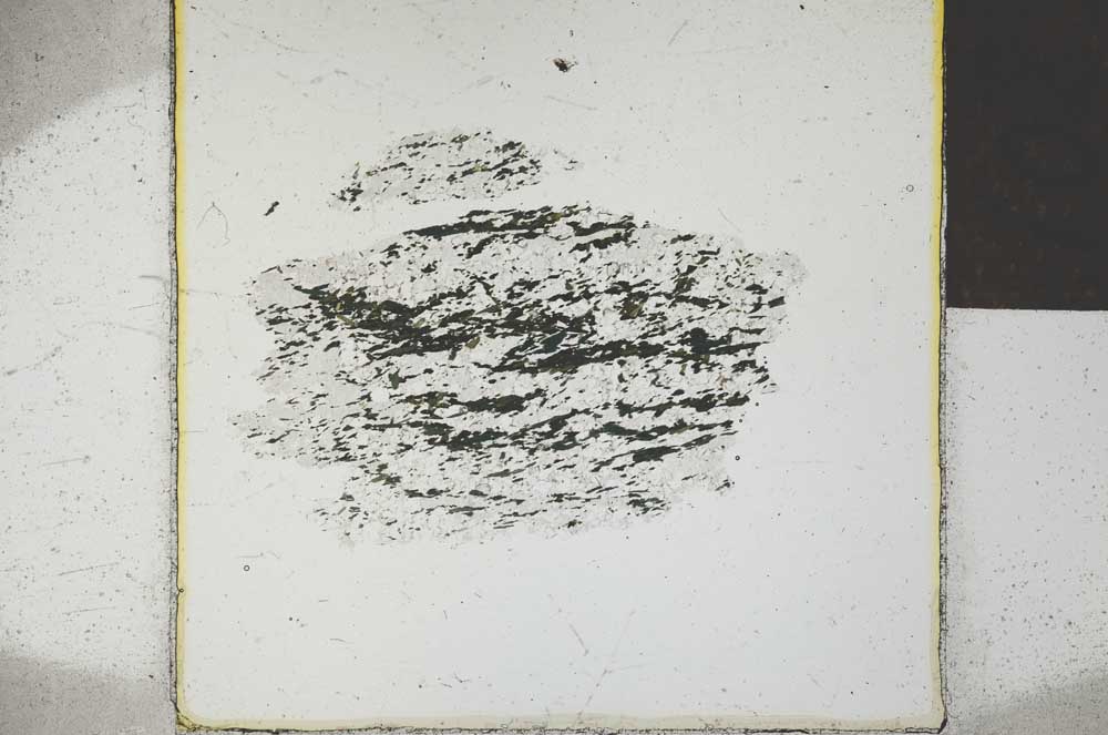 Plane Polarized, S25310