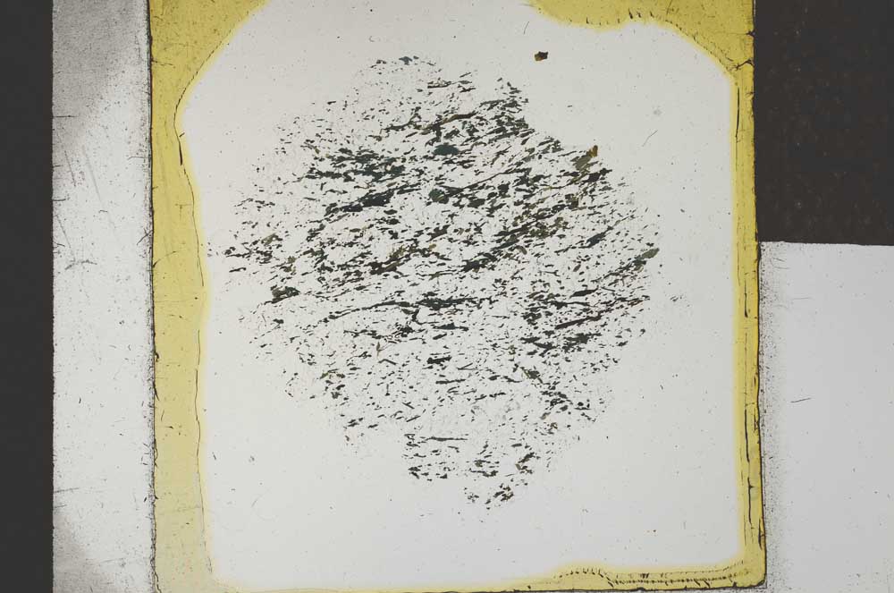 Plane Polarized, S25311