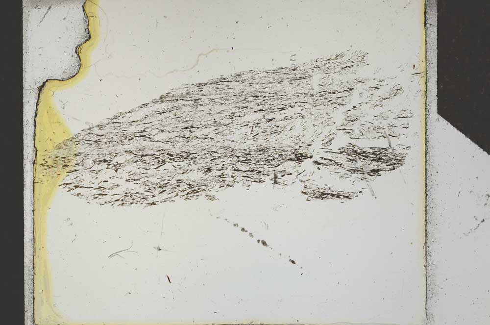 Plane Polarized, S25318