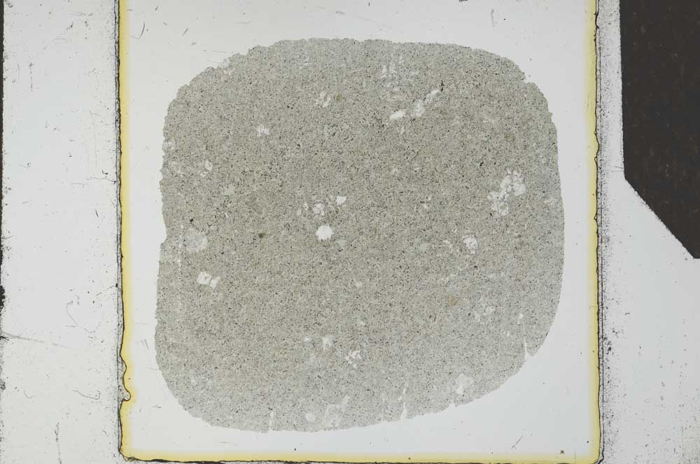 Plane Polarized, S25549