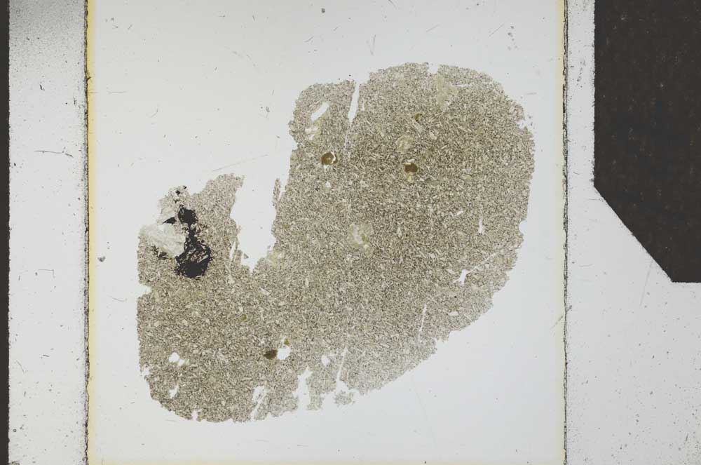 Plane Polarized, S25551