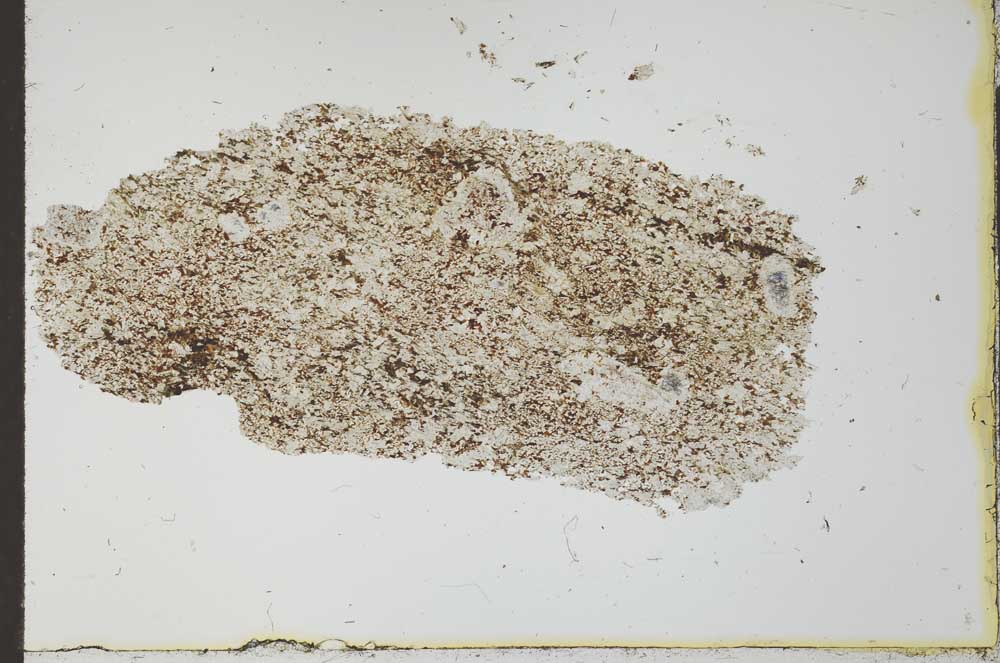 Plane Polarized, S25562