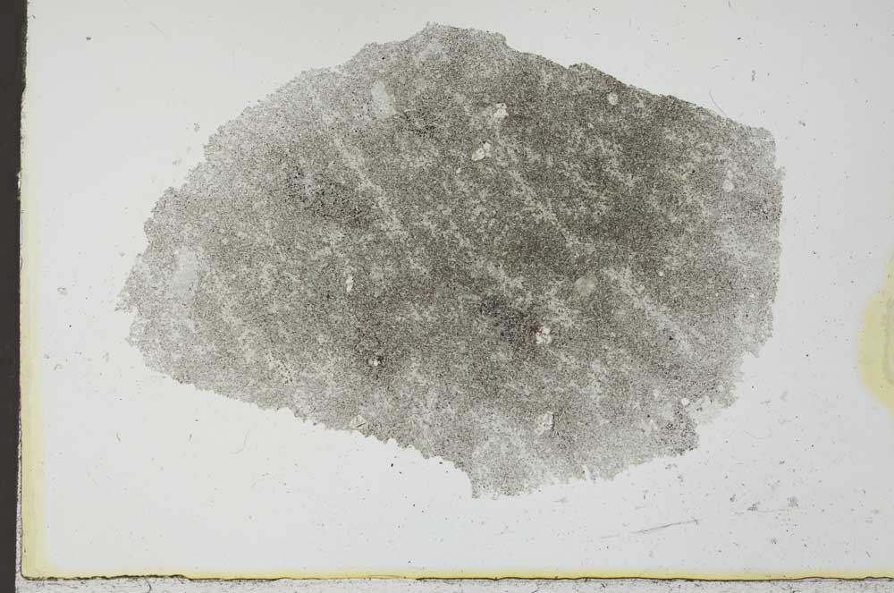 Plane Polarized, S25565