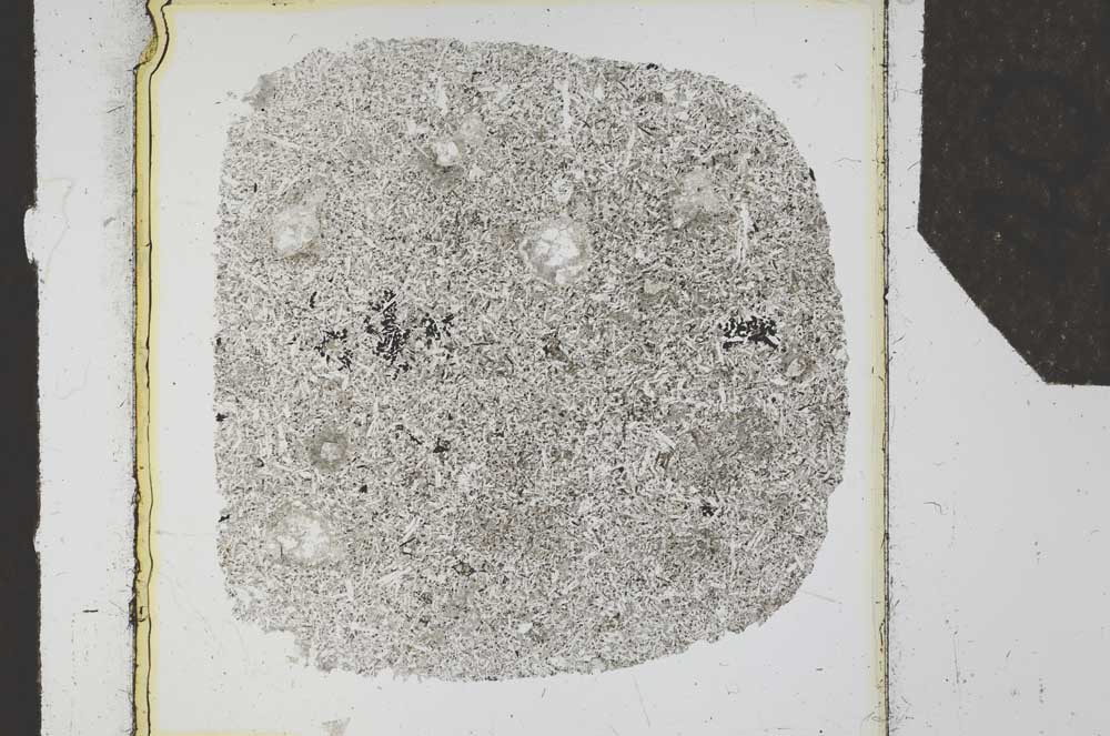 Plane Polarized, S25628