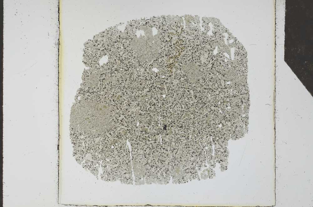 Plane Polarized, S25632
