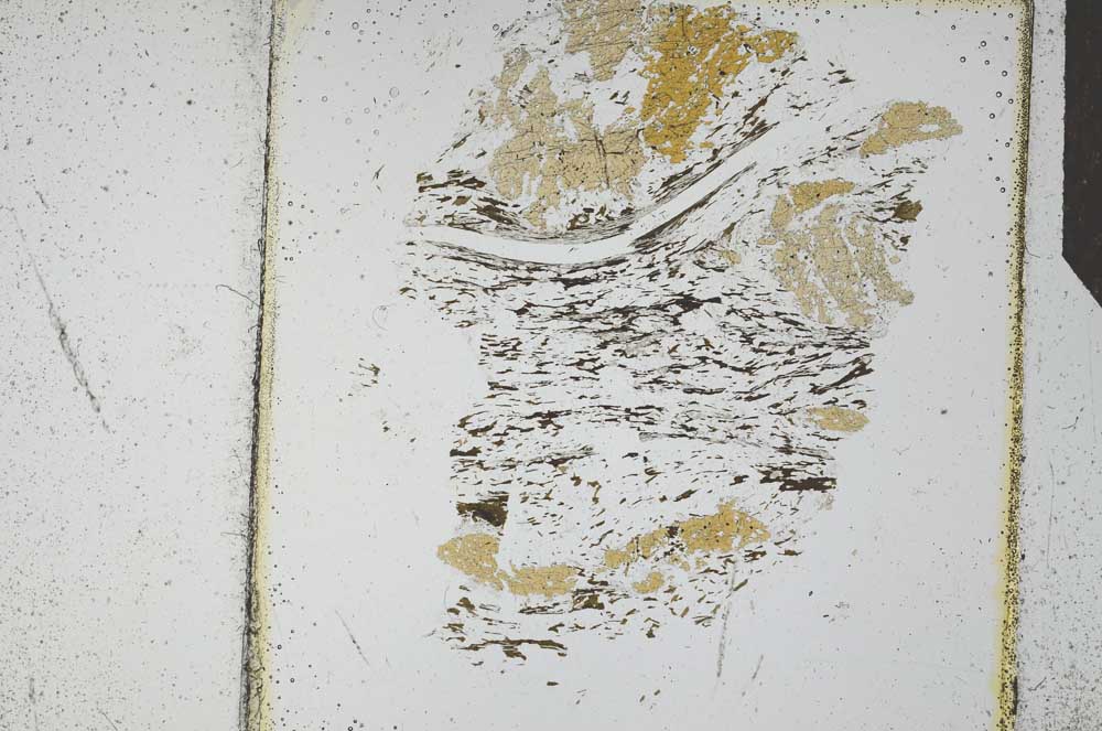 Plane Polarized, S25686