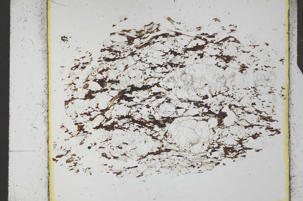 Plane Polarized, S25687