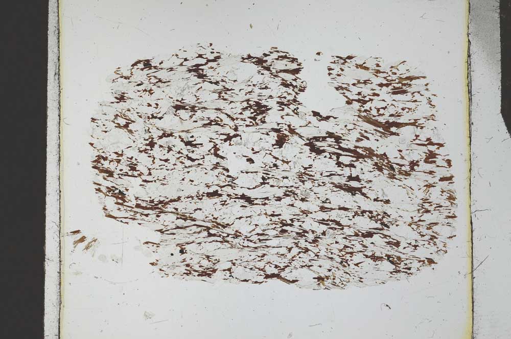 Plane Polarized, S25688