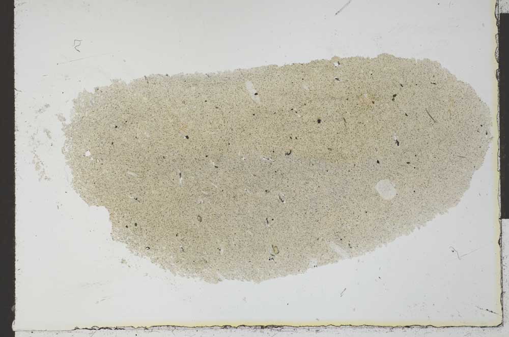 Plane Polarized, S25745