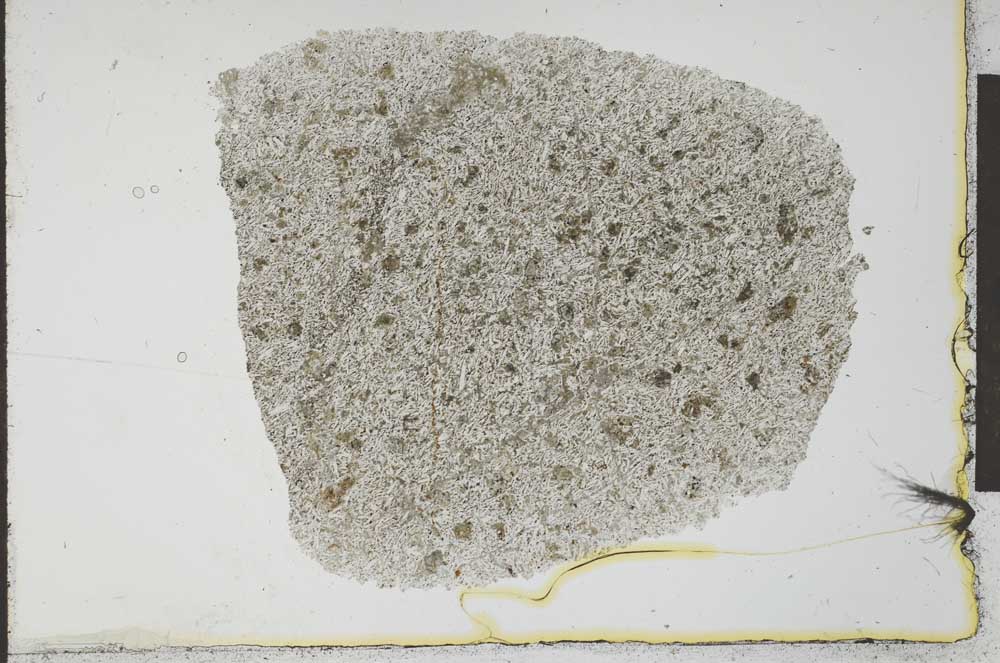 Plane Polarized, S25788