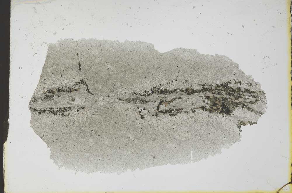 Plane Polarized, S25789