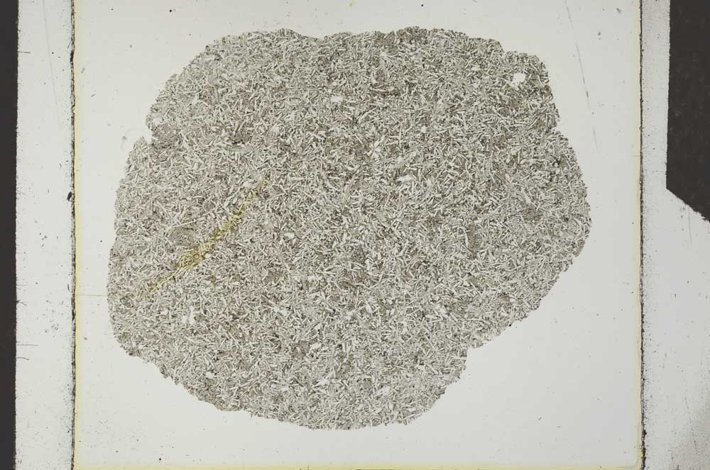 Plane Polarized, S25806