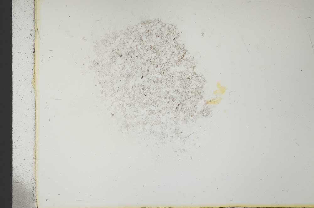 Plane Polarized, S25821