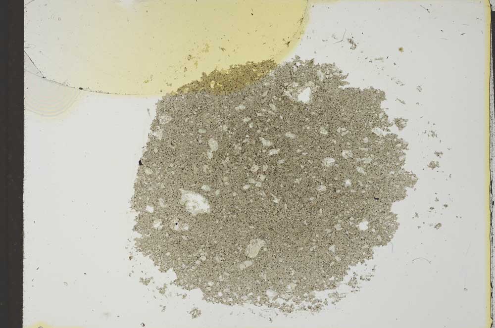 Plane Polarized, S25829