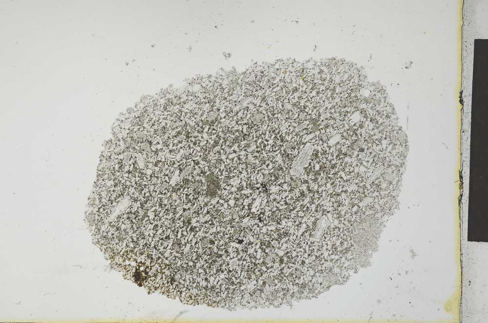 Plane Polarized, S25838