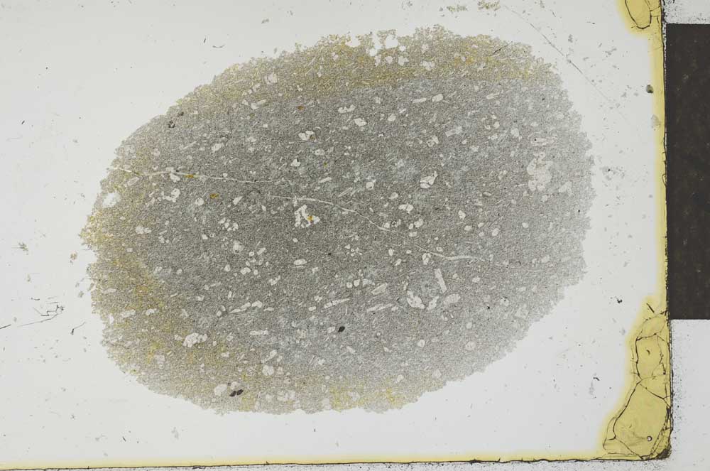 Plane Polarized, S25839
