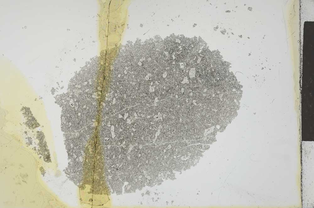 Plane Polarized, S25863
