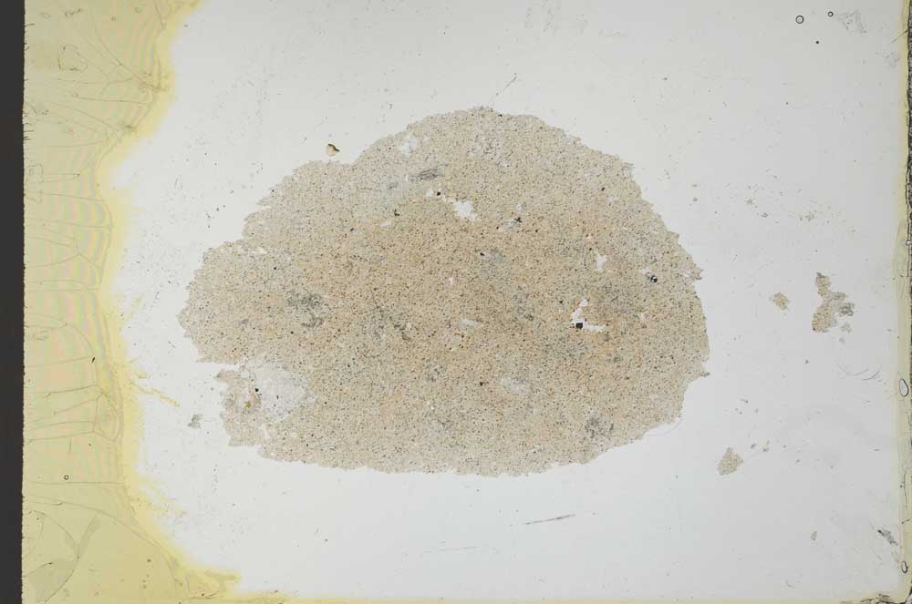 Plane Polarized, S25868