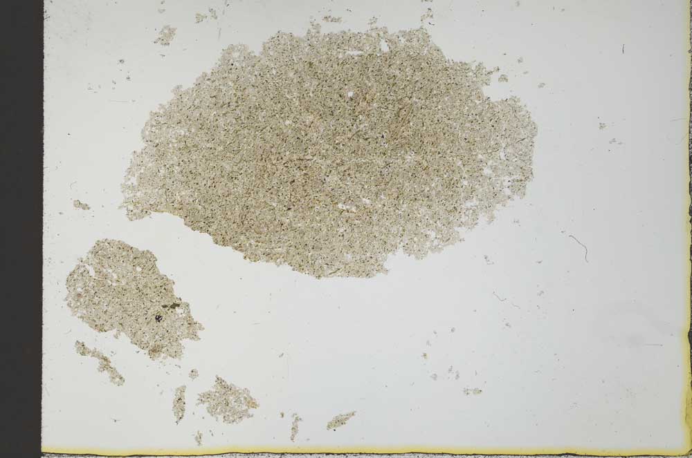 Plane Polarized, S25889