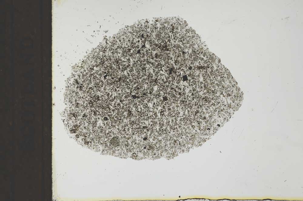 Plane Polarized, S25911