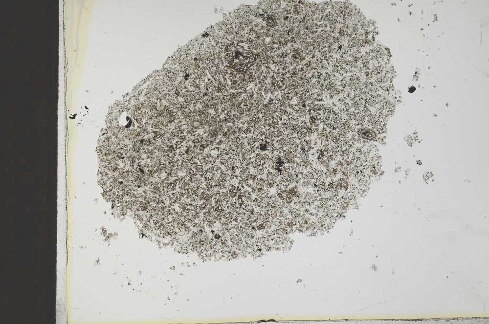 Plane Polarized, S25912