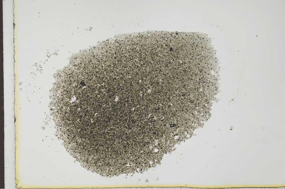 Plane Polarized, S25920