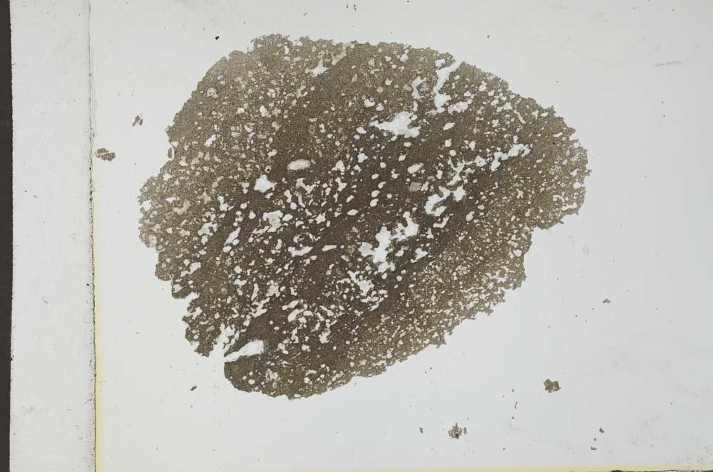 Plane Polarized, S25938