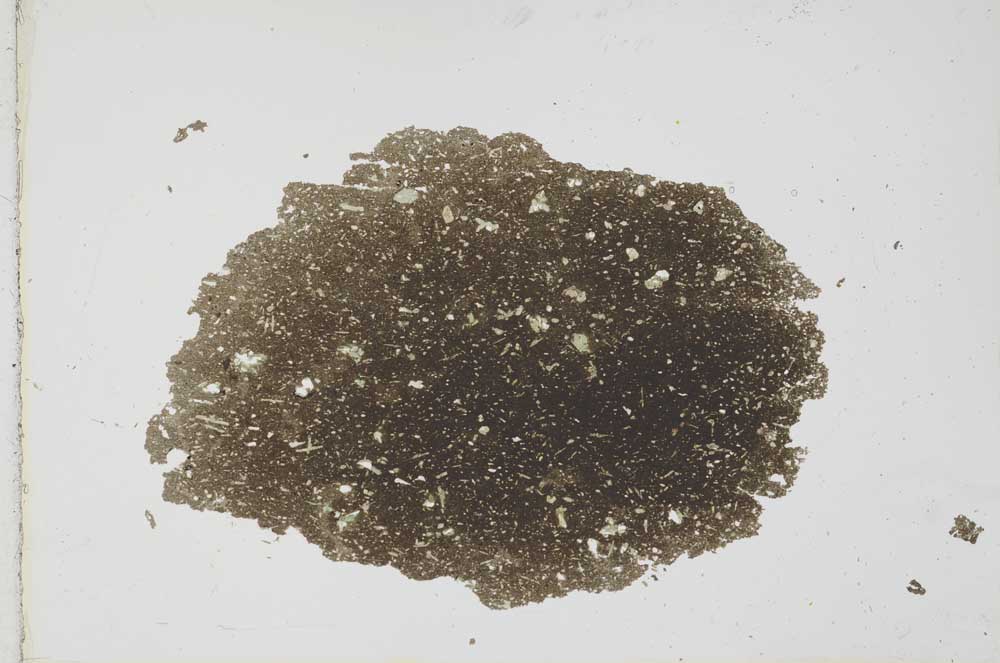 Plane Polarized, S25942