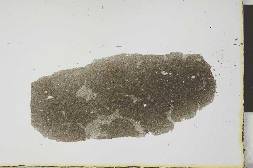 Plane Polarized, S25964