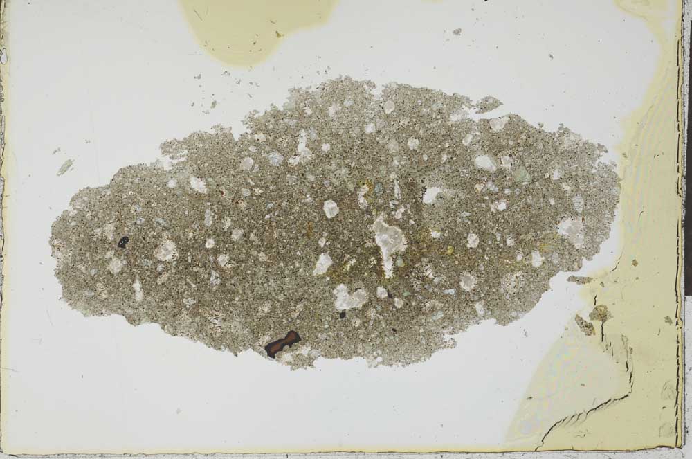 Plane Polarized, S25977