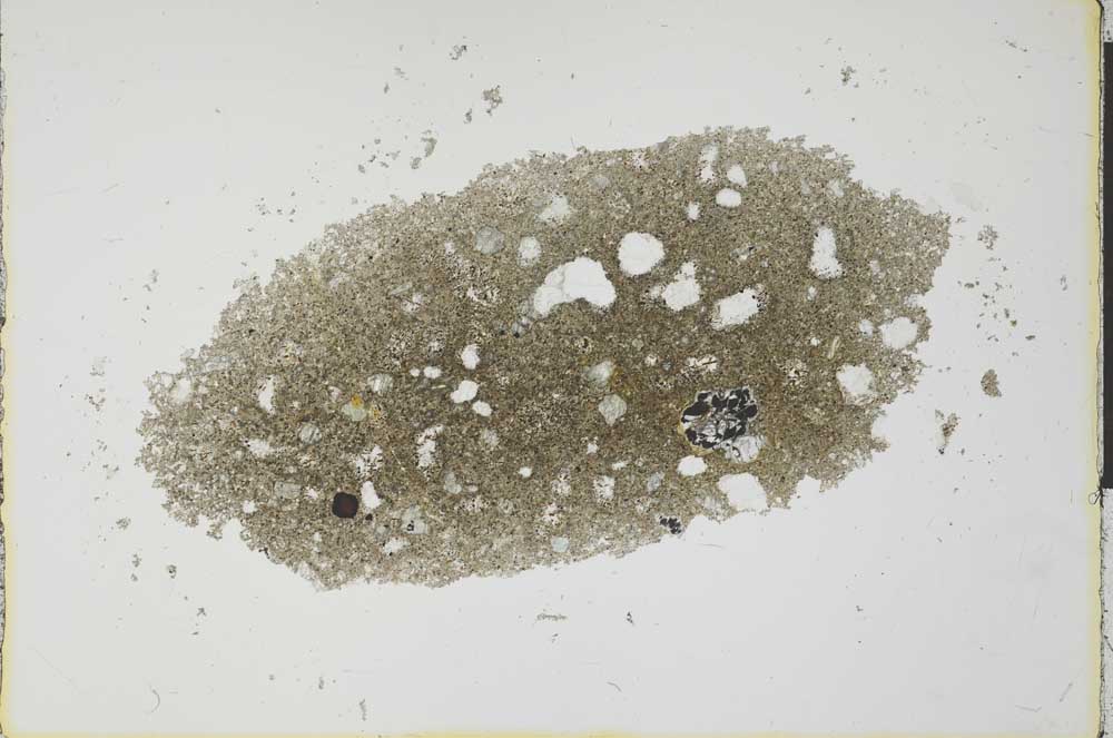 Plane Polarized, S25978