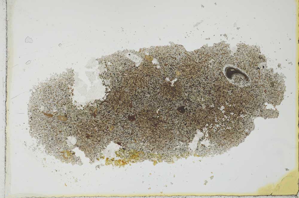 Plane Polarized, S25979