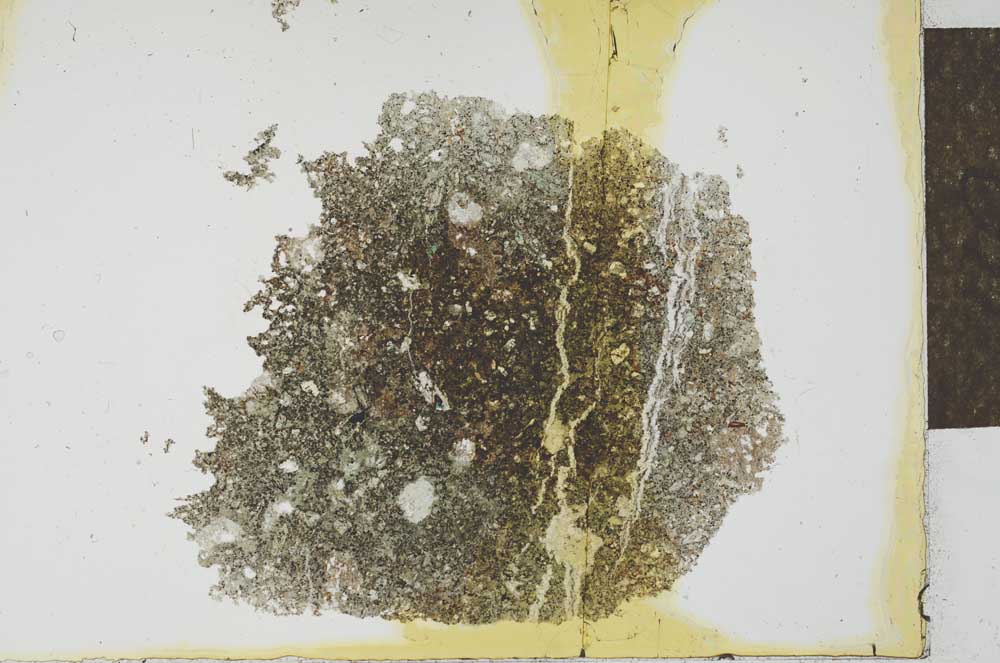 Plane Polarized, S25982