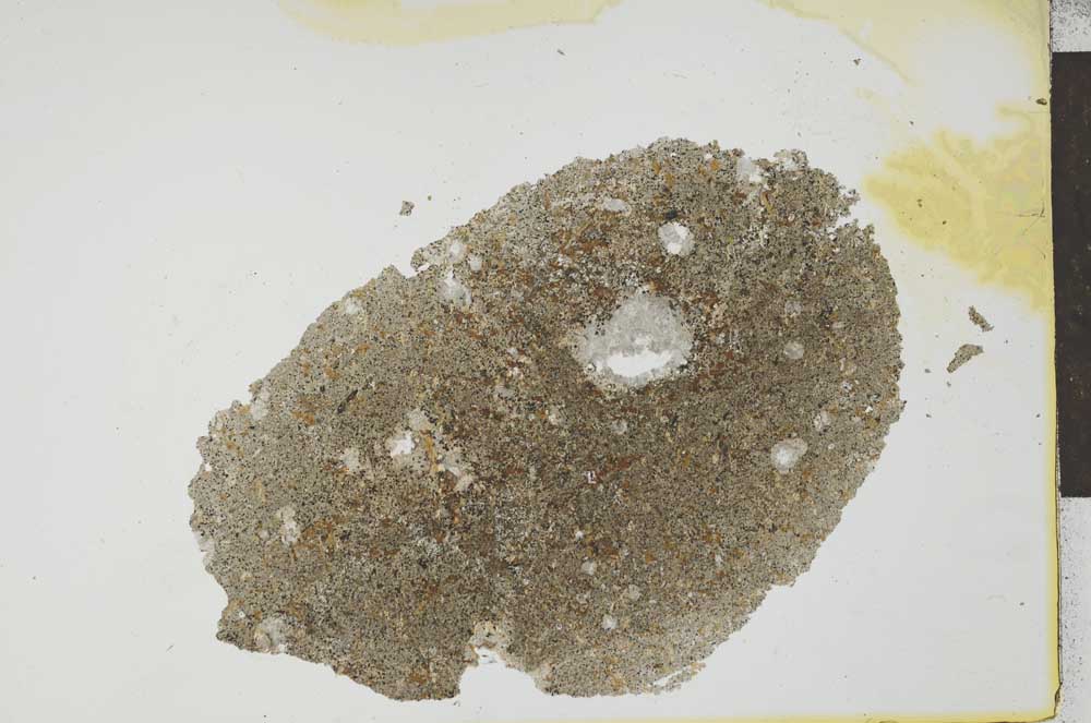 Plane Polarized, S25983