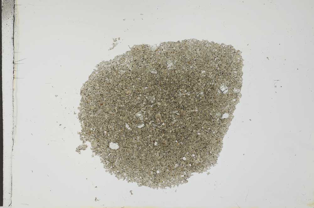 Plane Polarized, S25998