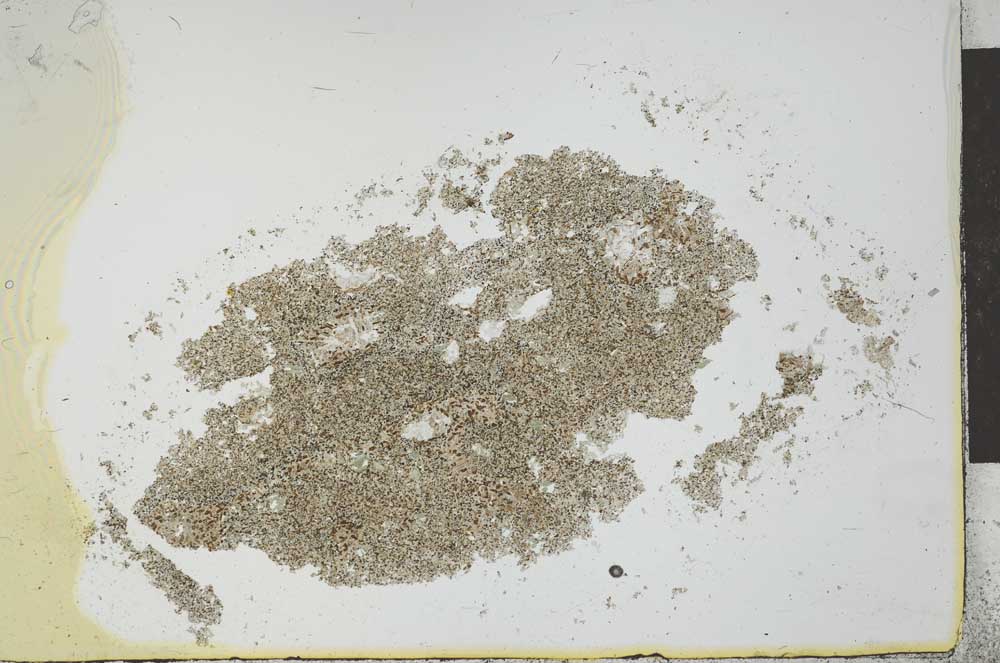 Plane Polarized, S26014