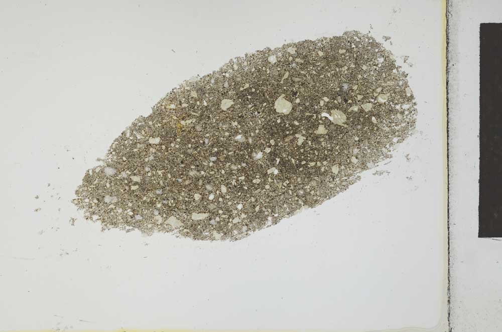 Plane Polarized, S26018