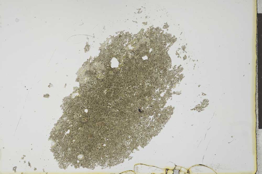 Plane Polarized, S26019