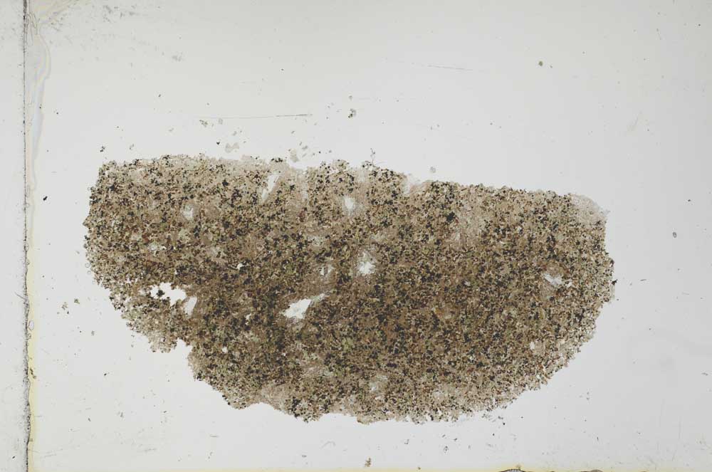 Plane Polarized, S26024