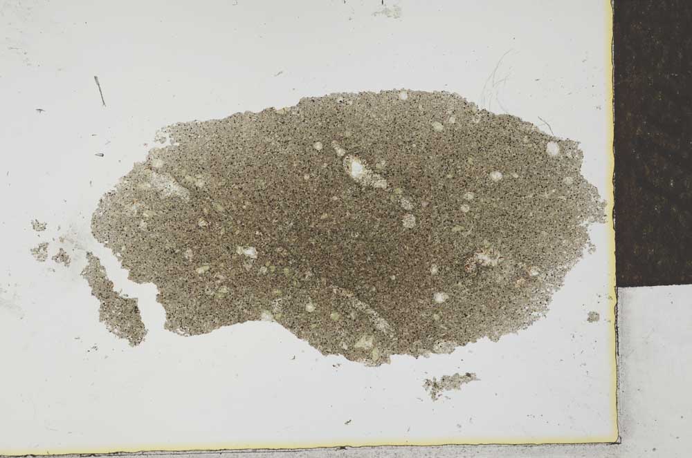 Plane Polarized, S26025