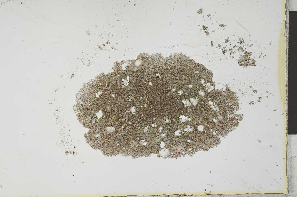 Plane Polarized, S26026