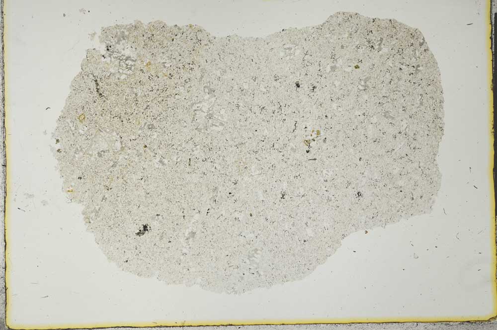 Plane Polarized, S26110